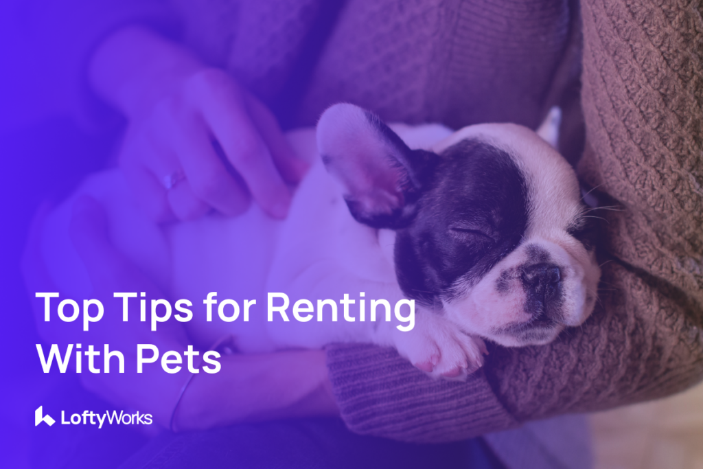 Top Tips for Renting with Pets: Guidance for Tenants and Letting Agents