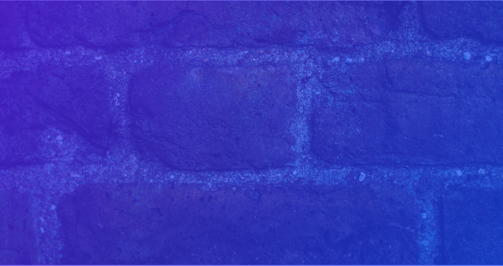 Property Management Guide: Mould Prevention in Properties